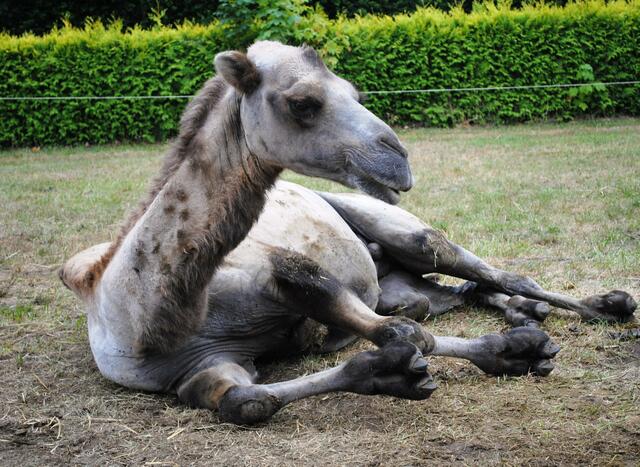 Mama ist hier geboren - und schon 18 Jahre alt!