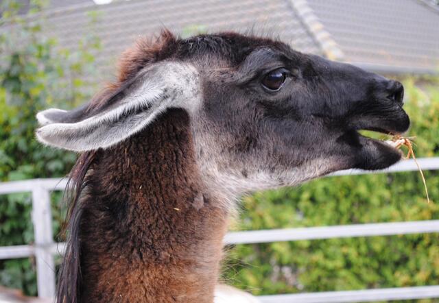 "Was ist da denn los?"