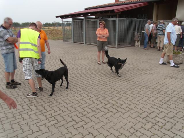 Auch die Hunde freuten sich über die Besucher