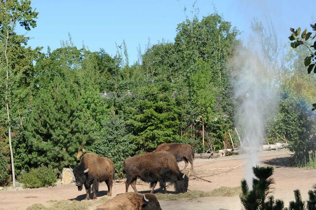 Der frühe Gang in den Zoo hat sich gelohnt