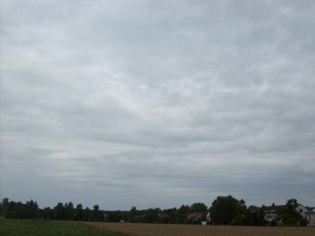 Eichenau, 28.7.10, 13:26 Uhr