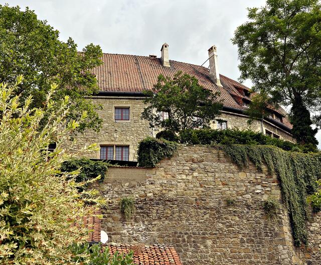 Über der Stadt trohnt die Hornburg