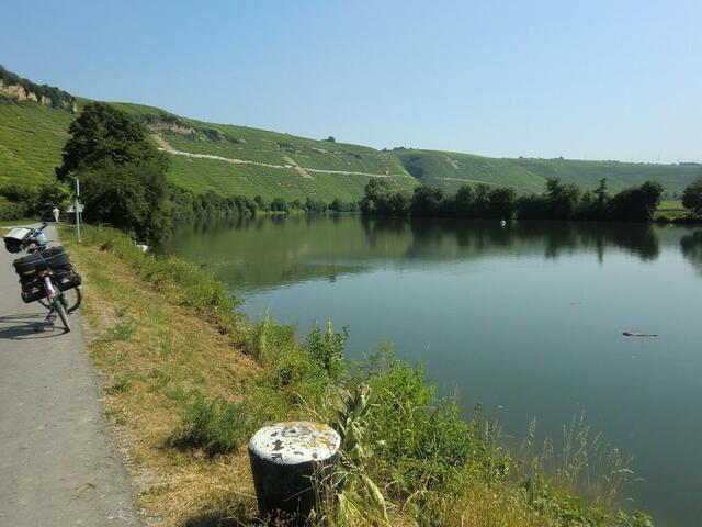 Die Neckarschleife bei Mundelsheim.