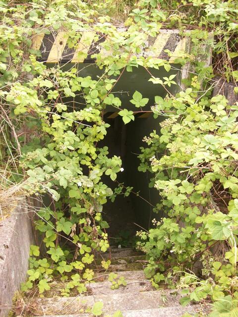 Eingang zu einem Bunker, die Natur erobert alles zurück
