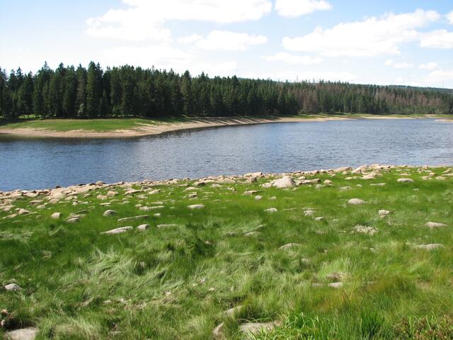 Oderteich im Harz (©Katja Woidtke)