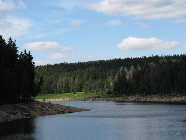 Oderteich im Harz zwischen Sonnenberg und Oderbrück (©Katja Woidtke)