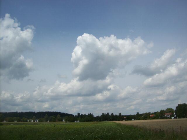Eichenau, 4.8.10, 12:37 Uhr