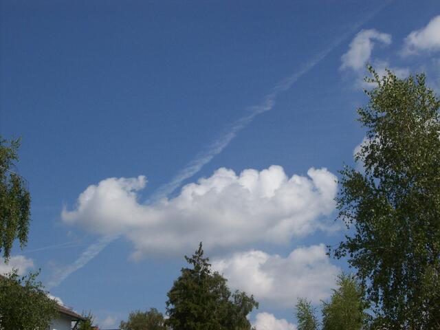 Eichenau, 4.8.10, (9:16 Uhr - 12:37 Uhr),