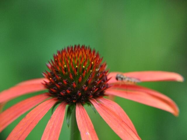 Mein Lieblingsbild :-)