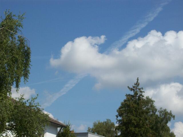 Eichenau, 4.8.10, (9:16 Uhr - 12:37 Uhr),