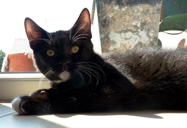 "Nun laß mich aber mal in Ruhe!!!"