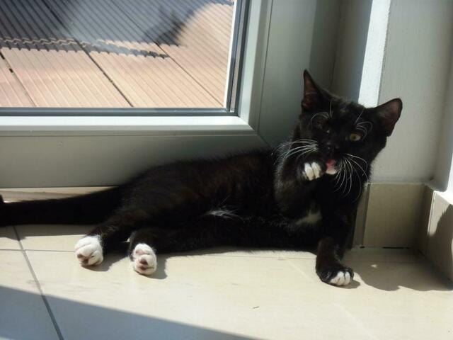 "Gar nicht so einfach!"