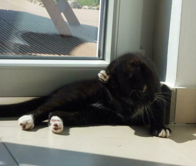 "Was juckt da bloß?"