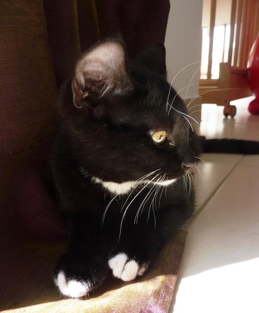 "Sie hat mich schon wieder entdeckt!"