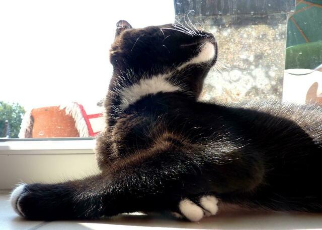 "Ich hab sie entdeckt"!