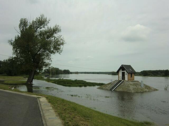 Hochwasser: Pegelhäuschen in Ratzdorf, wo die Neiße in die Oder mündet.