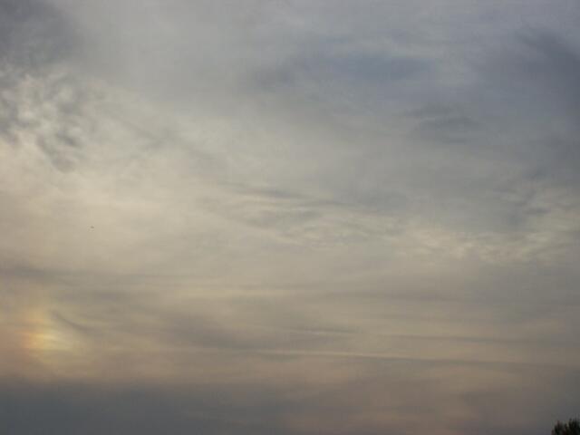 FFB, Emmering, 10.8.10 (17:16 Uhr-20:38 Uhr), Reflektion und vier Ct´s