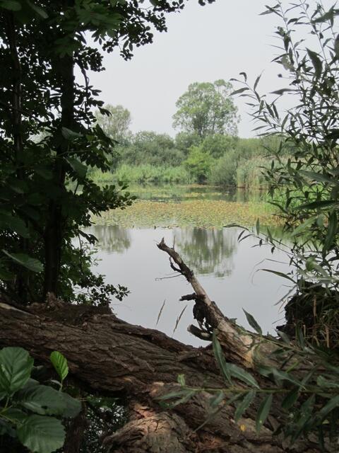 Natur pur