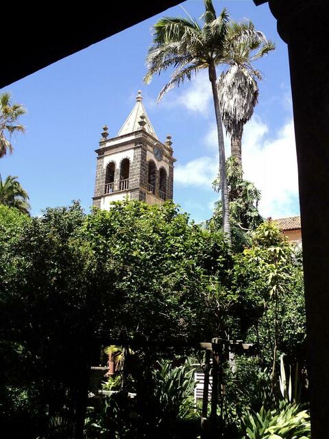 ORANGENBÄUME FÜR SAN FRANCISCO