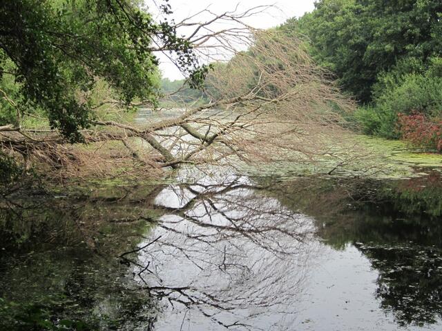 Natur pur