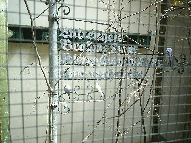 Voliere mit Wellensittichen