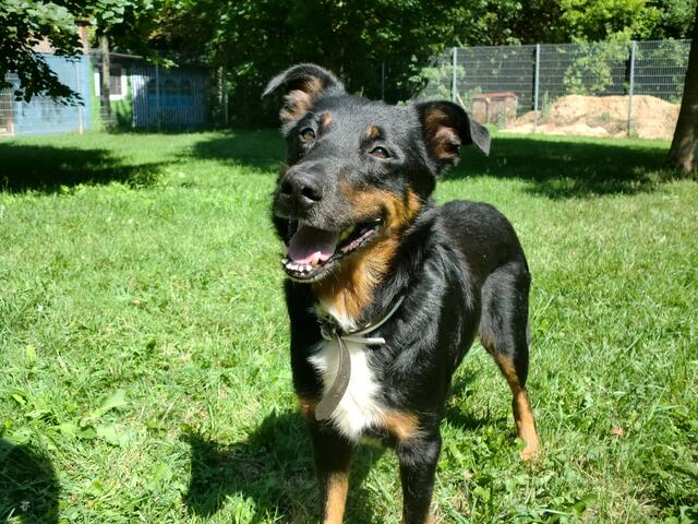 Max