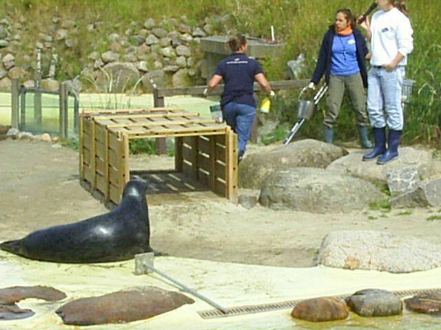 ,, Ich soll in diese Kiste, nee?"