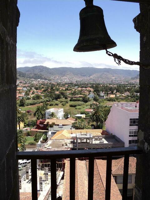 IM HINTERGRUND DIE "MERCEDES"-WÄLDER