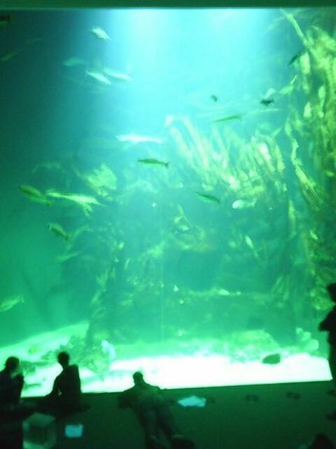 Siehe Text oder mulitimar-wattforumseite, im Web.