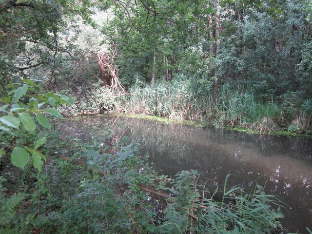 Natur pur
