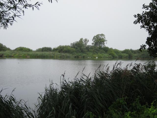 Natur pur