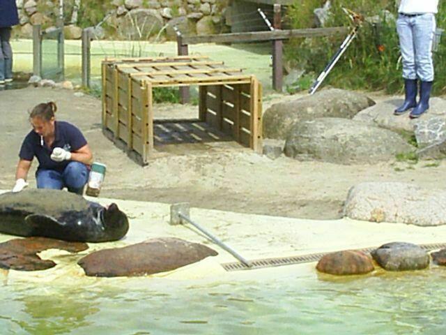 ,,Ah, das ist schon besser!"