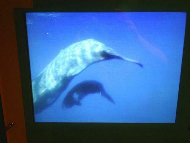 Mutter mit ihrem Jungen