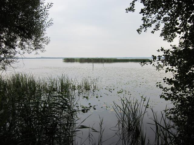 Die Moorwanderer haben das Steinhuder Meer auf der Mardorfer Seite erreicht