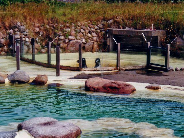 ,,Hallo, wo seid ihr denn alle?"