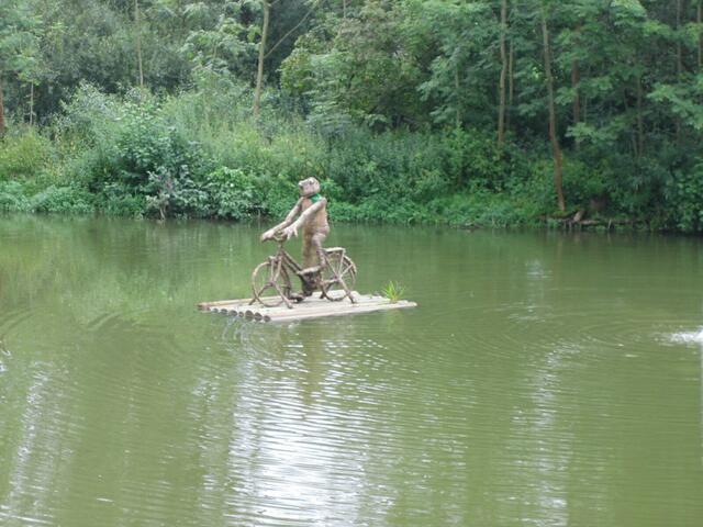 Der Wasser-Radfrosch