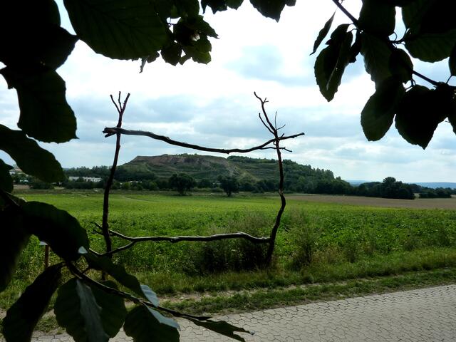 Landschaftsfenster aus Zweigen gestaltet