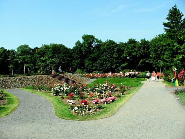 Rosenanlagen