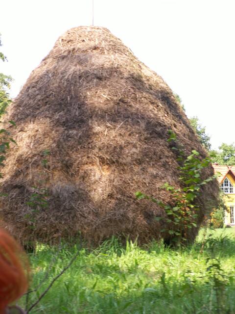 So wurde und wird zum Teil heute noch traditionell das Heu im Spreewald gelagert.