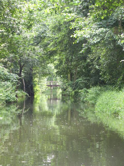 auf dem Rückweg