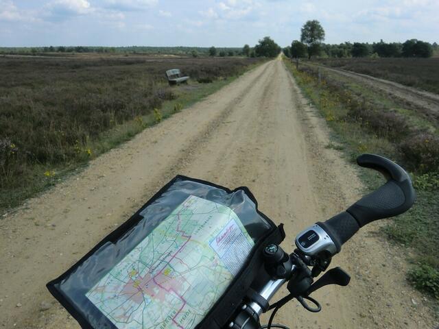 Typischer Heideweg bei Schneverdingen.