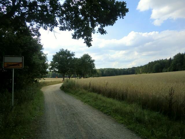 Hier beginnt die rund 8 km Durchfahrt durch den Stuvenwald nach Hamburg-Harburg.
