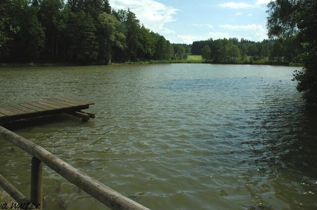 Blick auf den Stubenweiher