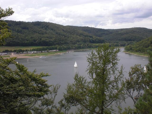Blick durch die Baumkronen auf den Edersee.