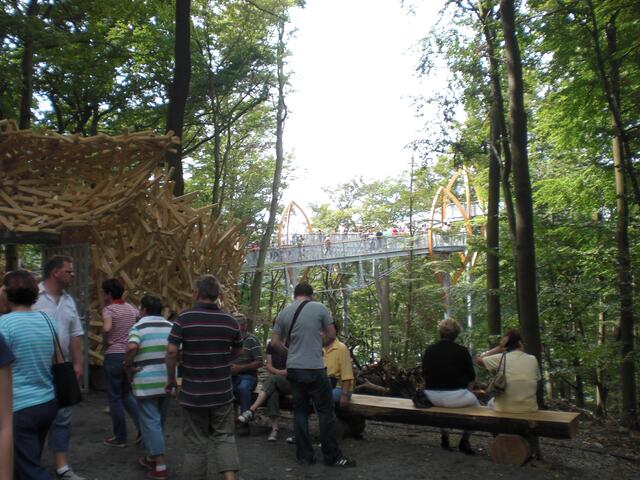 Hier beginnt der "Tree-Top-Walk"
