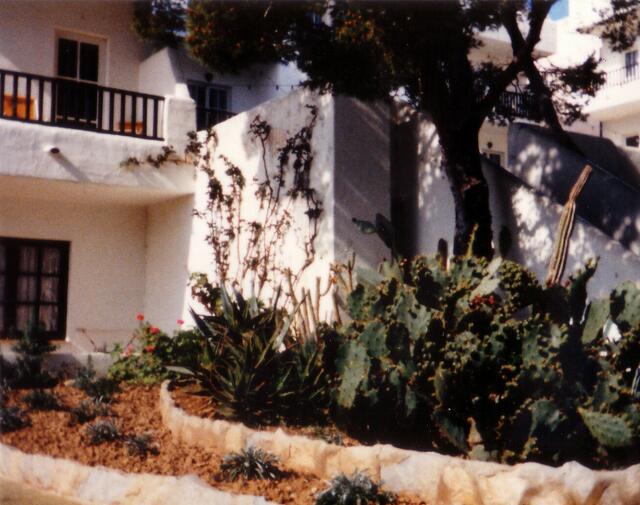 Hotel Ponent Playa mit Blumen und Kakteen