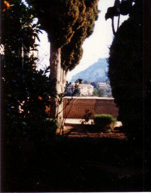 Blick aus dem Kloster