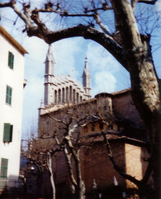 Soller