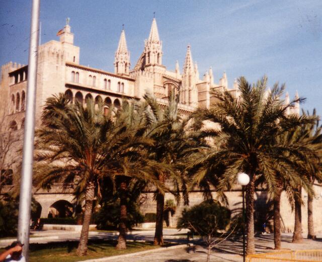 Die Kathedrale in Palma de Mallorca