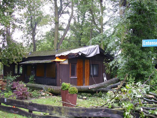 Glück im Unglück: der Baum liegt vor und nicht auf dem Haus.